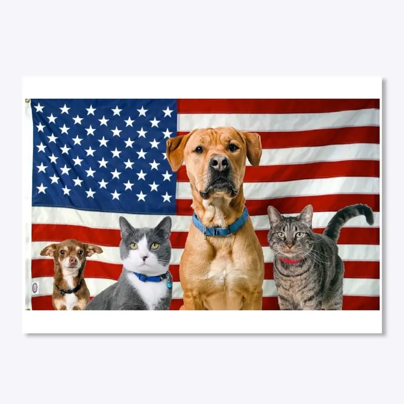 Cats, Dogs & The American Flag